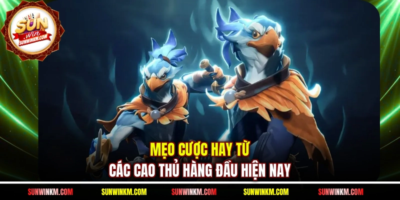 Mẹo cược hay từ các cao thủ hàng đầu hiện nay